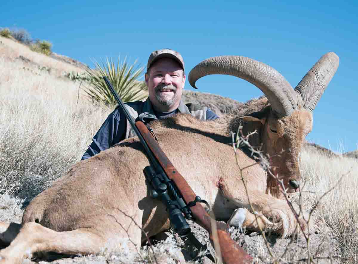 This free-range aoudad ram with 30-inch horns is a fine trophy shot with a Mossberg rifle, which is very competitively priced considering its better-than-average stock design.